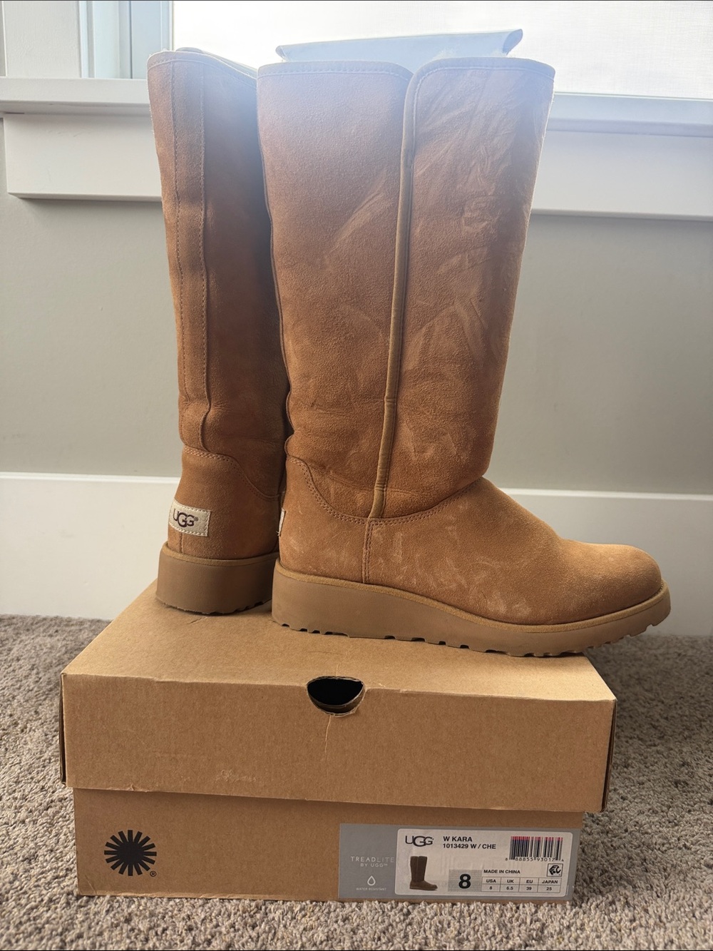 UGG Women's Tall Chestnut Suede Boots